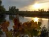 Lac de L'Union en automne